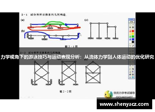 力学视角下的游泳技巧与运动表现分析：从流体力学到人体运动的优化研究